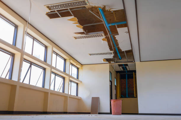 Best Water damage cleanup near me  in Tuba City, AZ