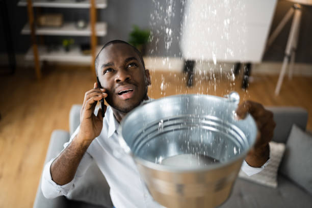 Best Residential water damage restoration  in Tuba City, AZ