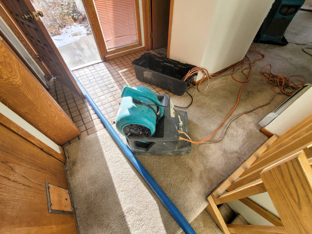 Best Water damage contractors near me  in Tuba City, AZ