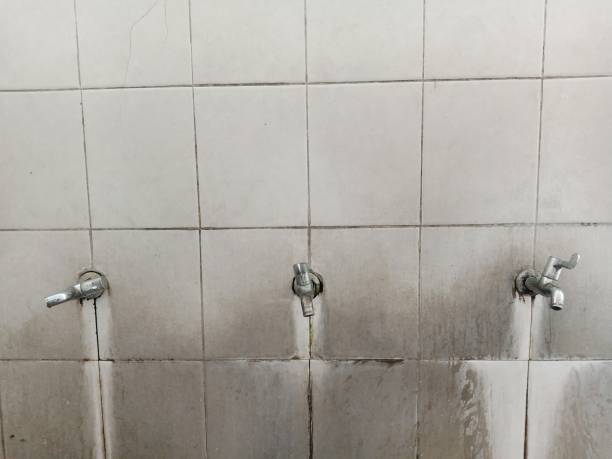 Best Water damage contractors near me  in Tuba City, AZ
