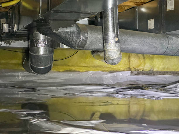 Best Flooded house restoration  in Tuba City, AZ