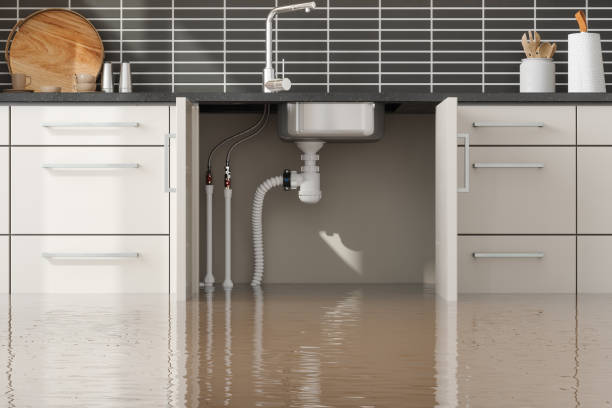 Best Water damage restoration near me  in Tuba City, AZ