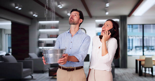 Best Ceiling water damage repair  in Tuba City, AZ